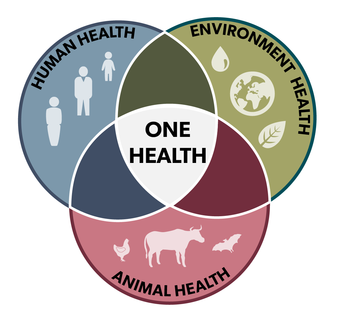 livestock health